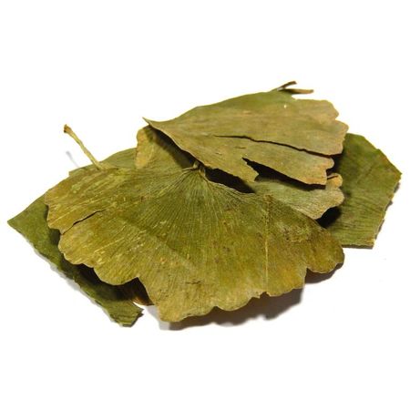Листья гинкго билобы в магазине травника Кайгородова